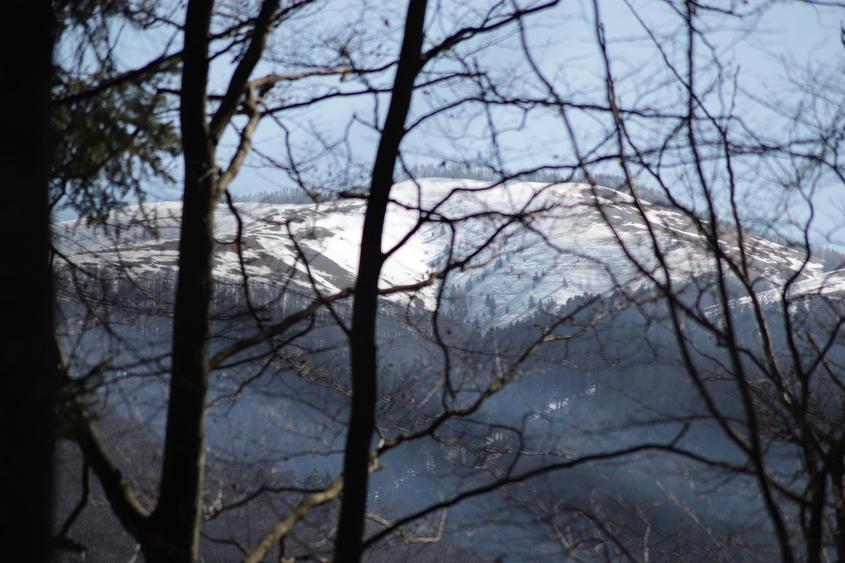 Casa de vanzare in Sinaia – zona centrala, aproape de Bulevardul Carol - 4