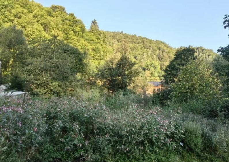 Vila/ pensiune - 11 camere - Moieciu de jos - 4