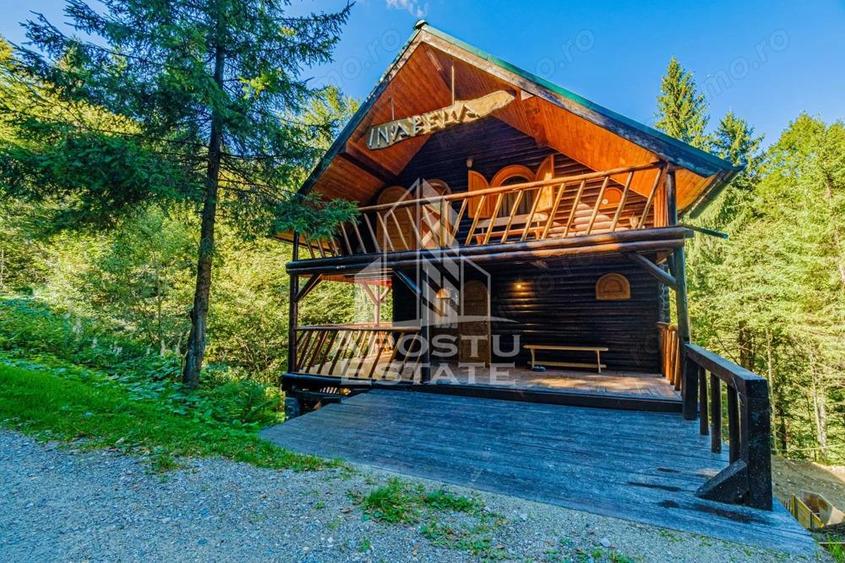 Pensiune, casa de vacanta, 6 camere, statiunea Rausor din Hunedoara - 19