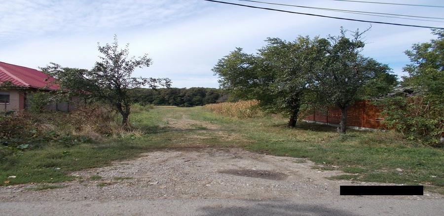 Teren intravilan ,Crevedia - 3