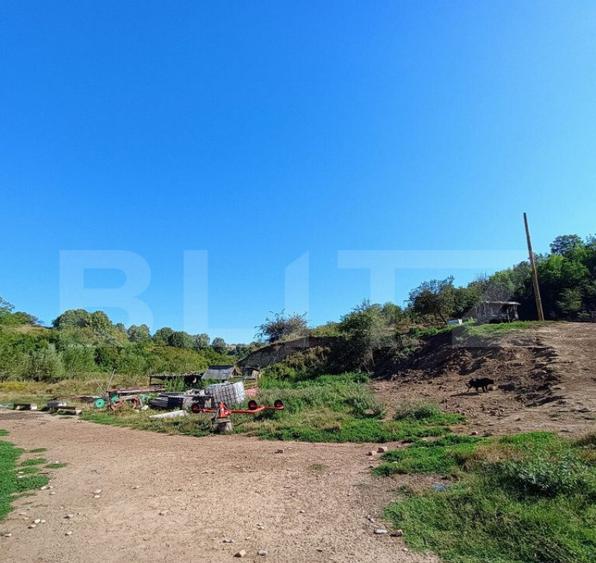 Stana 17.000 mp, Boldesti-Scaeni. - 4