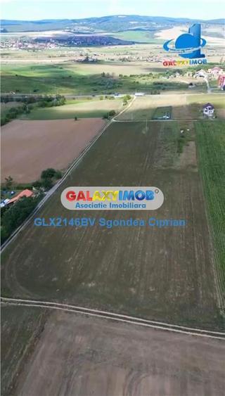 Teren De Vanzare Feldioara Utilitati In Apropiere - 2