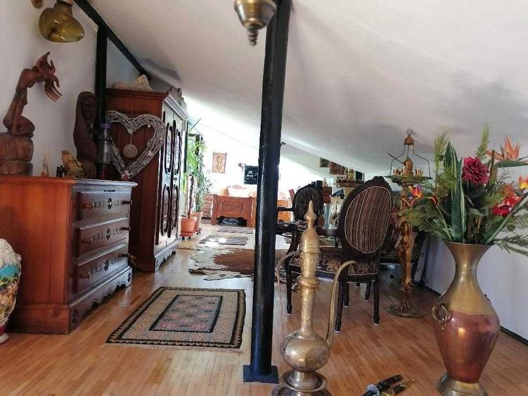 COTROCENI - Aici a visat si a creat pictorului Zamfir DUMITRESCU - 5