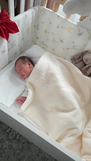 Inchiriez Hala si Teren - 2