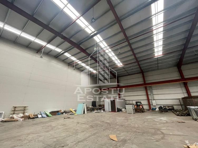 Hala 600 mp constructie noua Sacalaz - 3