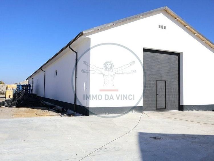 Inchiriem Hale Industriale / locuri de depozitare /birouri - 8