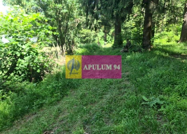 Teren de v&acirc;nzare &icirc;n Bușteni - Zona Zamora - 8