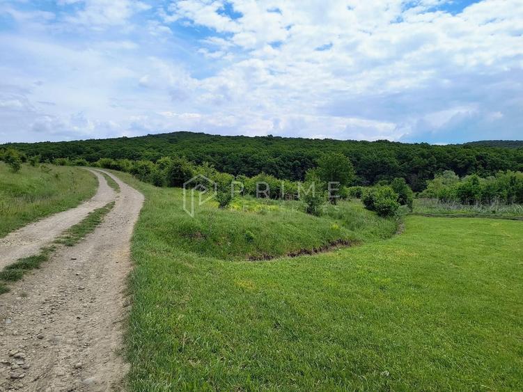 Teren Construcții intravilan de 11600 mp, în Corunca