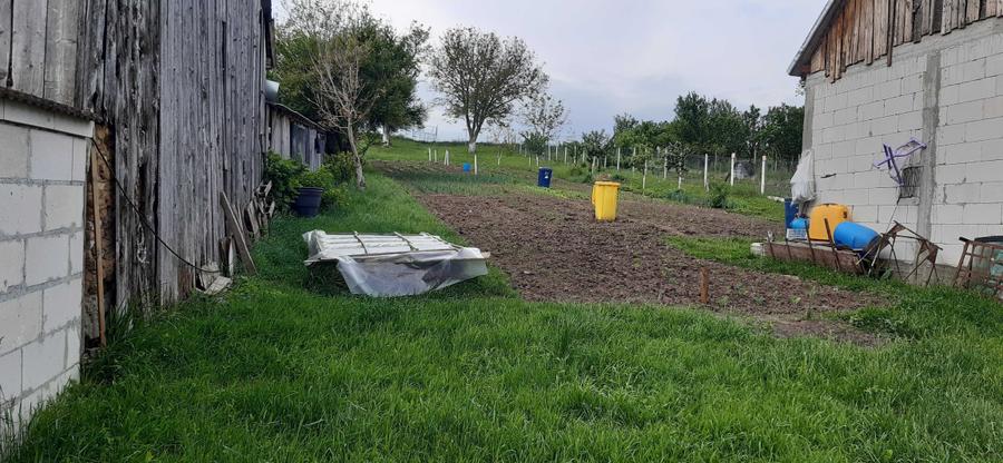 Casă cu 2 camere în Central