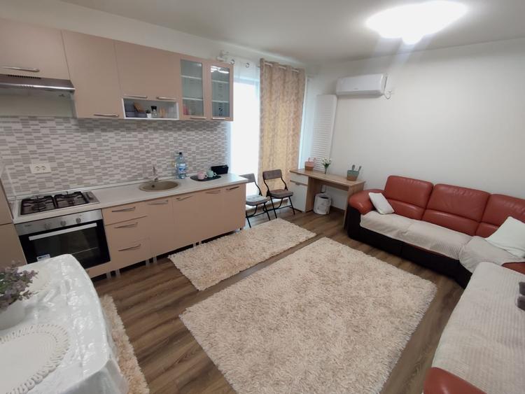 Penthouse cu 2 camere si 2 terase , 550 euro - Nicolina - 3
