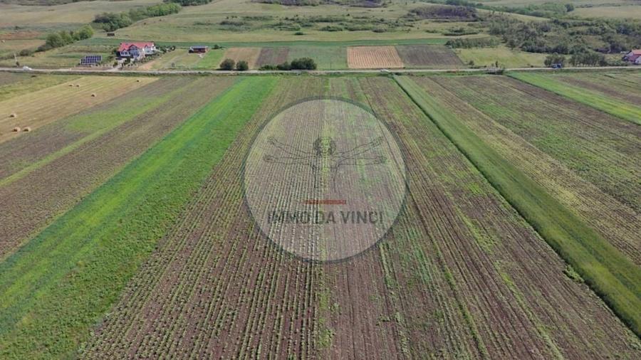 Teren de 10670 mp, în Borșa