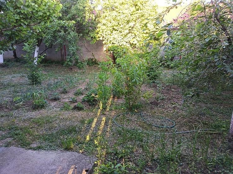 Casă cu 4 camere cu Teren 2741 Mp în Jebel