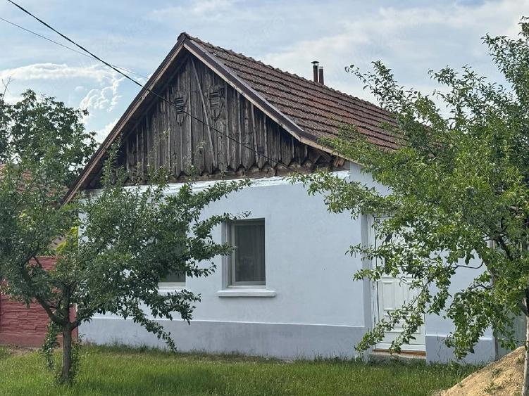 Casă cu 2 camere cu Teren 1450 Mp în Central