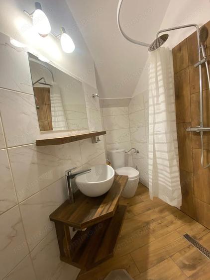 Vila/Pensiune + Casa, Teren 50 arii, Sovata - 7