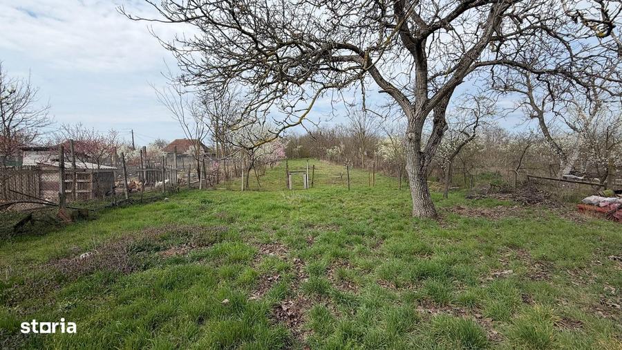 Casa de vanzare in Resighea teren generos 1798 mp, pozi?ie excelenta - 3