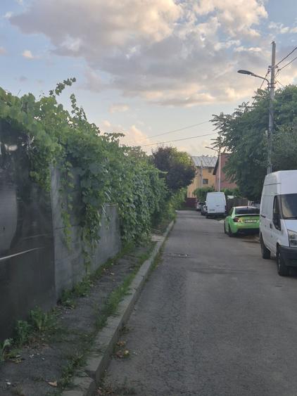 Teren Prelungirea Ghencea Raul doamnei - 5