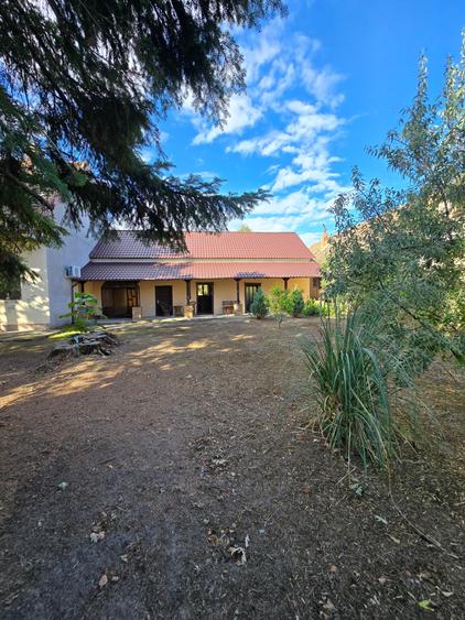 Cenad-Casa individuala -teren 549mp - 11