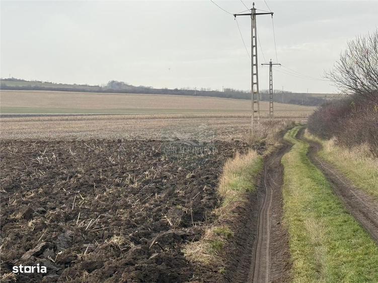 Teren extravilan in EXCLUSIVITATE 20300 mp in Sura Mica - 4