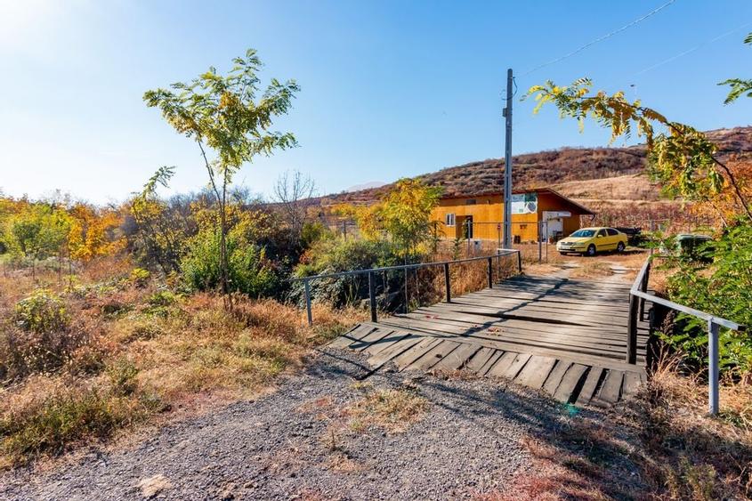 Oportunitate de investitie - Teren de vanzare I 4 ha I certificat ECO - 6