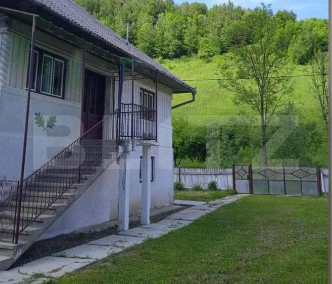 Casa individuala cu 3 camere, 217 mp utili,1600 mp teren,Intregalde - 9