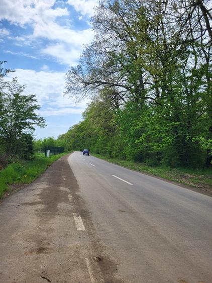 Teren intravilan Ghermănești – 5.000 mp, lângă stadion, toate utilitățile, 80€/m - 2