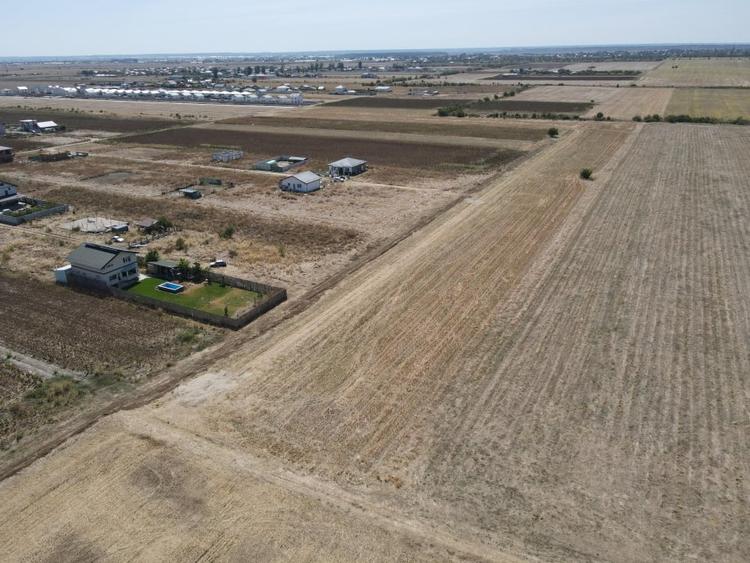 Teren Intravilan Com Berceni | utilitati: curent - gaz | #MG14E - 5