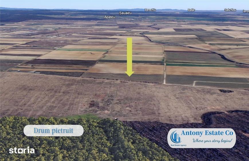 Antony Estate | Oportunitate de investitie - Teren Cihei, langa Padure - 5