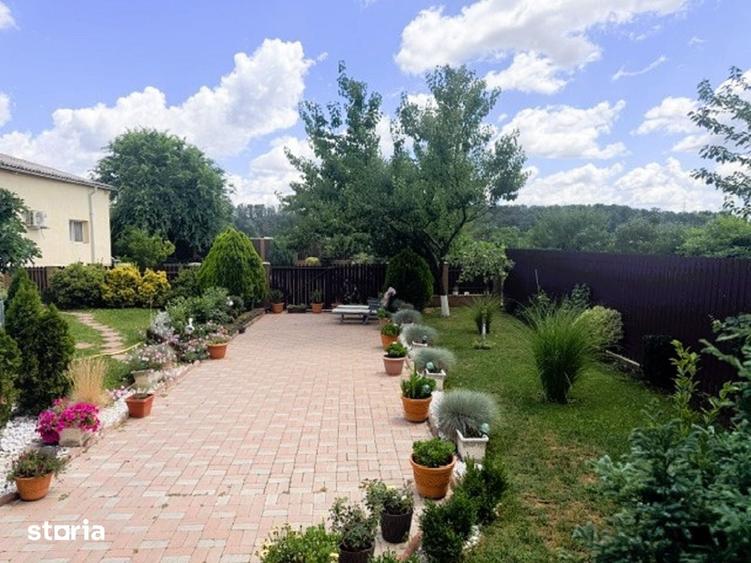 AFACERE + PROPRIETATE DE VANZARE | SCORNICE?TI PISCANI | COMISION 0% - 20