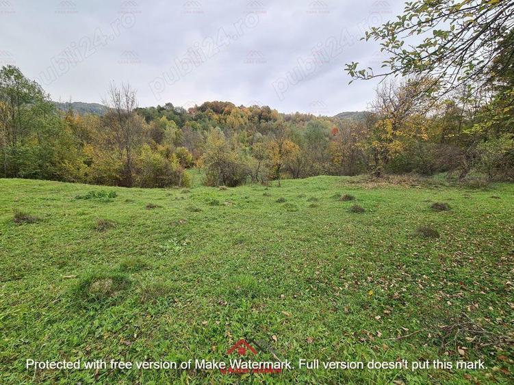 Teren intravilan in Provita de Jos 14.340 mp-- 90.000 e - 11