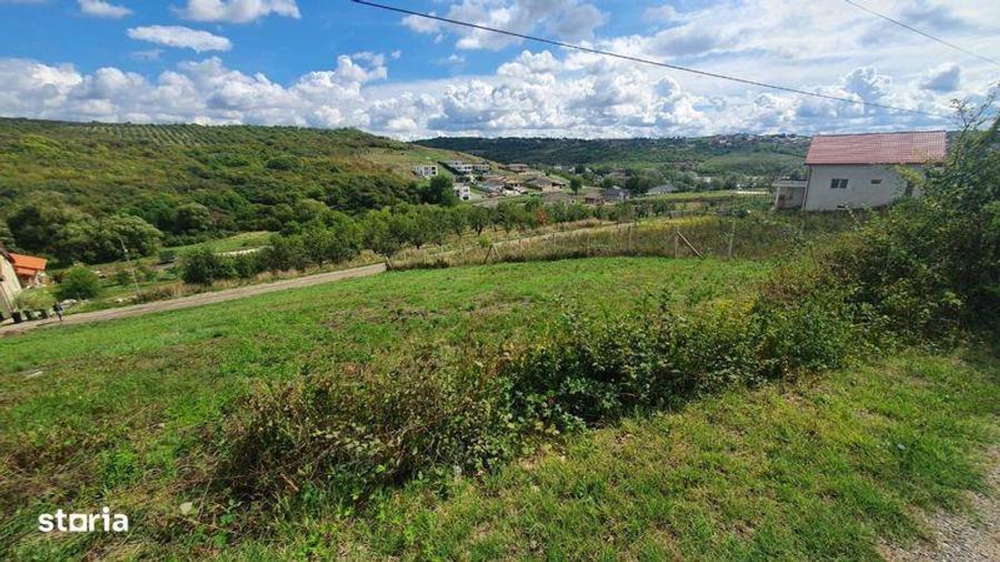 Vanzare teren 1000 mp - 2