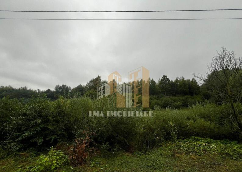 Teren intravilan Sinca Noua - 2