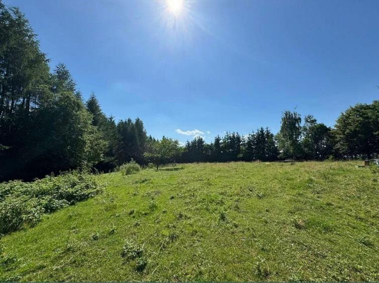 Teren intravilan de 5.755 mp în Doboeș, Sighetu Marmației - 3