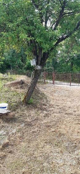 Teren Construcții intravilan de 611 mp, în Vărbilău