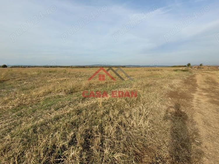 Teren intravilan in Baicoi zona targului--10.000mp--5e - 10