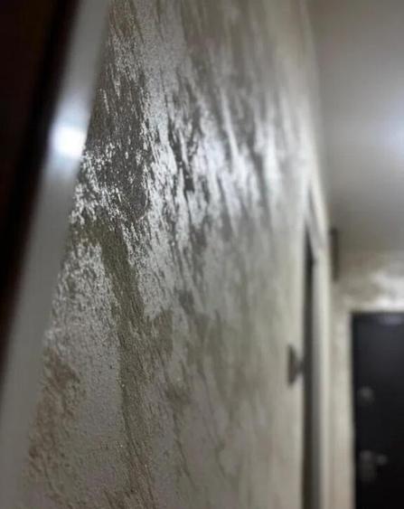 Apartament cu 2 Camere Decomandate-Parter Zona Burdujeni - Cuza Voda 2 - 3