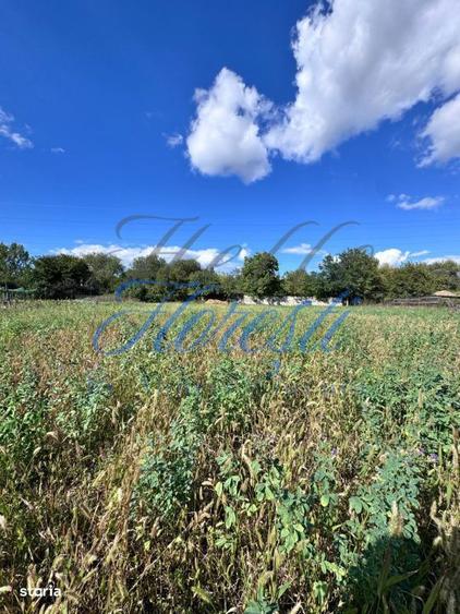 Oportunitate investitie, teren intravilan zona Terapia 2877mp - 3