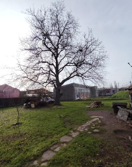 Teren de vanzare - 4