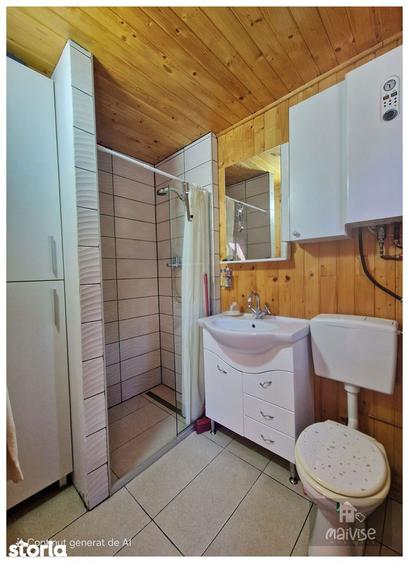 Casa de vacanta- Valea Bozomului, Brasov - 20