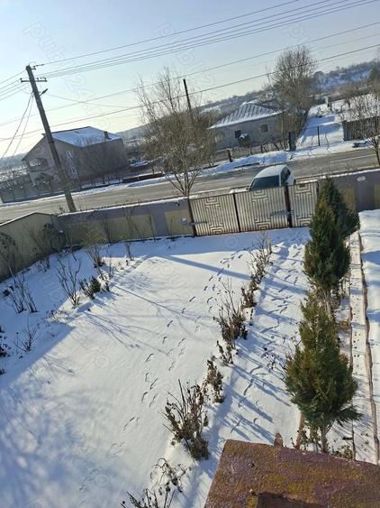 Fara agentii Gaiseanca com CrevediaMare jud Giurgiu - 3