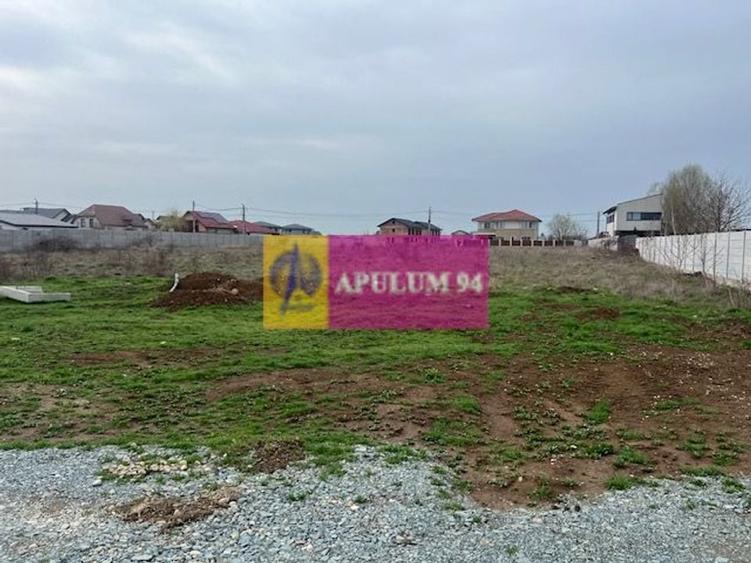 Teren Domnesti- Drumul Targului. - 5