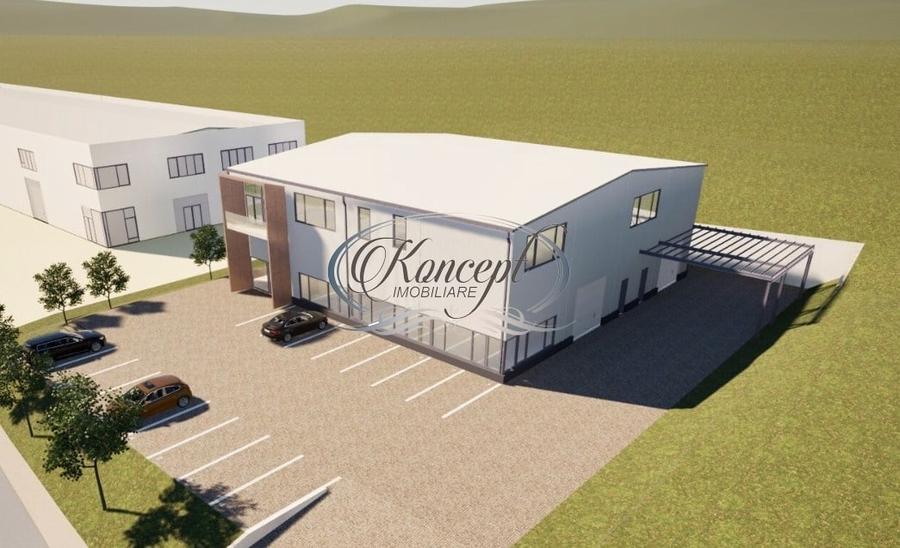 Teren industrial cu autorizatie hala, Valea Chintaului - 4