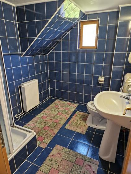 Pensiune în mijlocul naturii Bran - 9