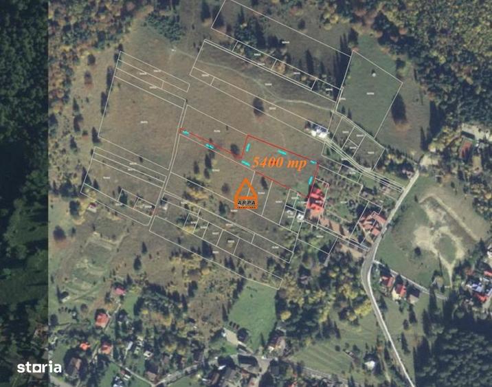 Teren intravilan - 5400 mp Ceahlau , Durau - 4