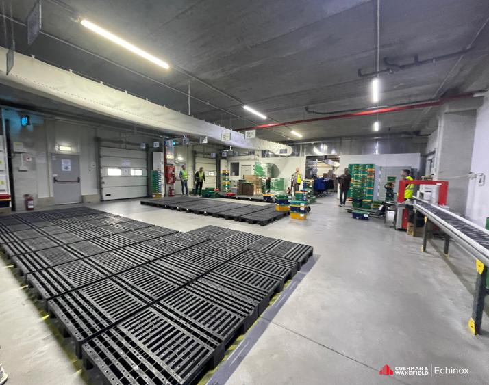 Depozit de vânzare - Iași - zona de vest - 9