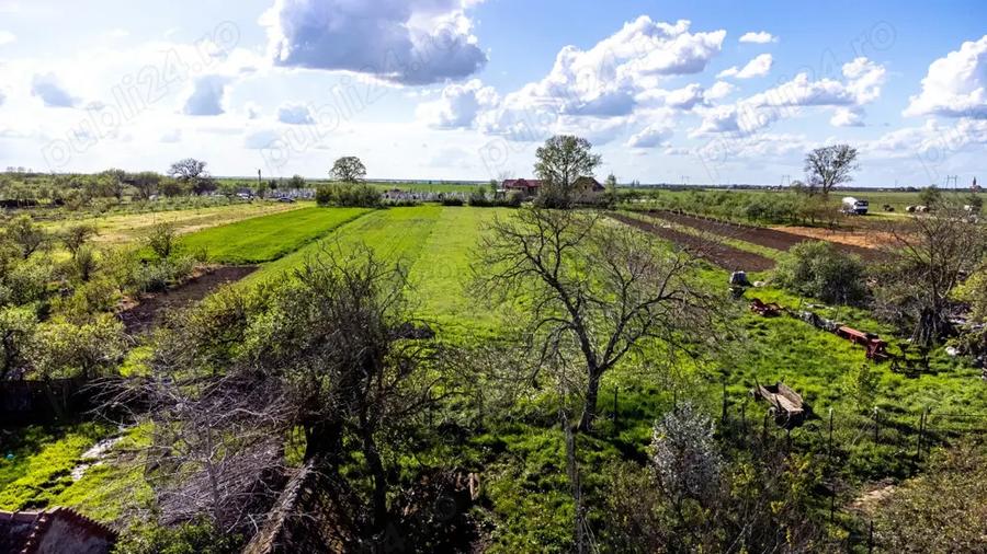Vand casa in Chesin?, com. Zabrani, jud. Arad 2.376 mp teren - 4