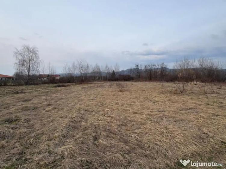 Teren intravilan 10.000 mp plan | Utilita?i in apropiere - 1