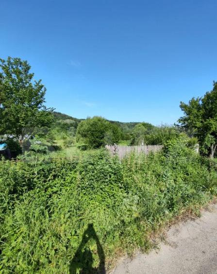 Teren intravilan 4.183 mp Cobia, sat Mislea ie?ire - 9