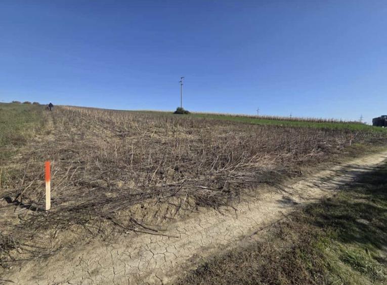 Teren Intravilan 5000mp, Catamaresti-Deal, Botosani. - 2