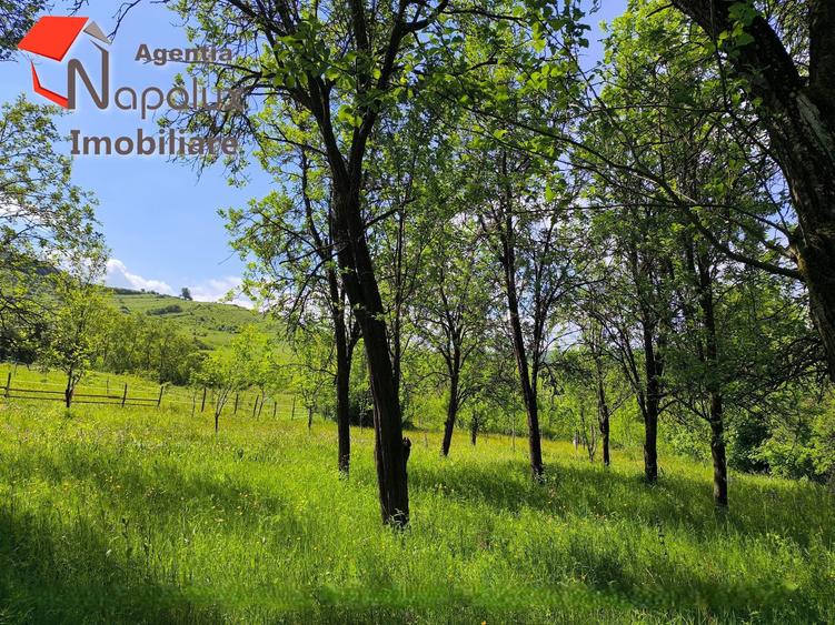 ? Teren cu poten?ial reziden?ial ?i turistic | 3.000 m2 | Exclusivitate Napolux Imobiliare - 3