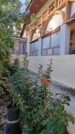 Casa si teren suprafata totala 3.359 mp-sat Teslui, Olt - 6